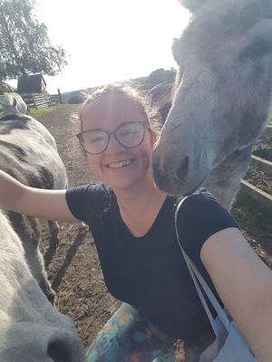  at The Hut at Tribe Animals Sanctuary in Braidwood