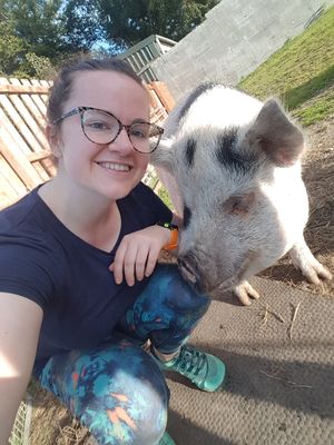  at The Hut at Tribe Animals Sanctuary in Braidwood