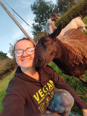  at The Hut at Tribe Animals Sanctuary in Braidwood