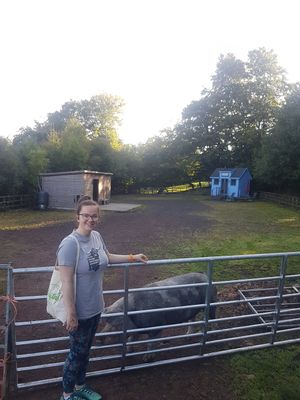  at The Hut at Tribe Animals Sanctuary in Braidwood