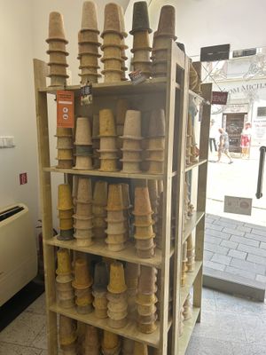   at Soup Culture in Bratislava