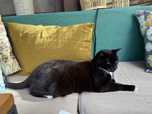   at Le Jardin in Hyeres