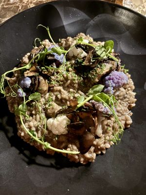 Vegan mushroom risotto   at Humo in San Jose Del Cabo