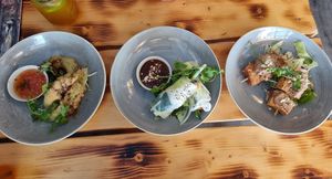 Vorspeisen Avocado Tempura, Sommerrollen, Tofospieße mit Erdnusssoße at Lôc Vegan in Mainz