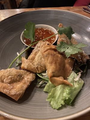 Won Tons  at Lôc Vegan in Mainz