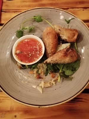 Spring Rolls at Lôc Vegan in Mainz
