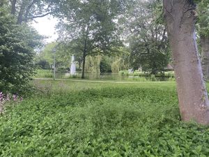 View of the park. at Rozey in Delft