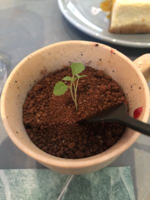 Rozey garden, DELICIOUS! at Rozey in Delft