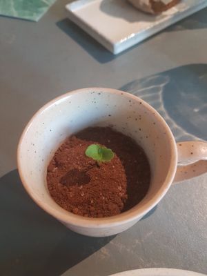 Rozey's garden at Rozey in Delft