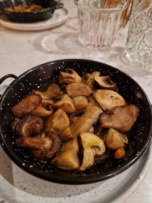 Bospaddestoelen at Rozey in Delft