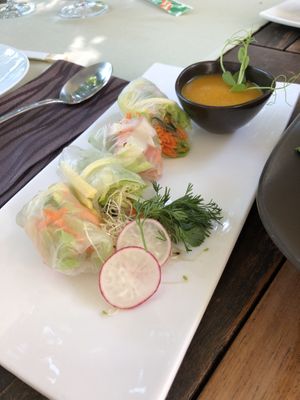 vietnamese salad rolls with mango and papaya at Shambala in Ljubljana