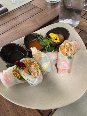 Fresh summer rolls  at Shambala in Ljubljana