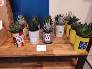 Plants at MOEHA  in Vannes