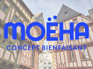 Near to the cathedral of Vannes, you will find the store who sell gifts, clothes, cosmetics and jewelry with low impact at MOEHA  in Vannes