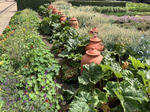 Salades uit eigen tuin   at Villa Augustus in Dordrecht
