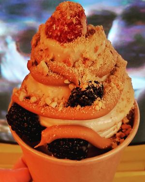 Peanut butter black berries/raspberries and peanuts at The Chilly Banana in Philadelphia