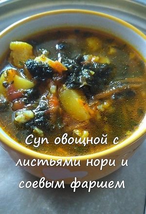 Vegetable soup with nori and soy mince at Anjik Vegan in Novosibirsk