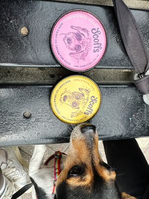 Flavours for dogs (non dairy)  at Truly Scrumptious in Looe