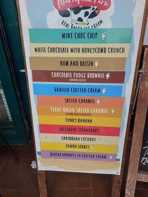  at Café Fleur in Looe