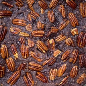Maple Pecan Black Bean Brownies at Nourishing Empowerment in Cypress