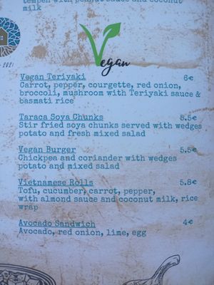 Vegan menu at Resto Bar Taraca in Kotor
