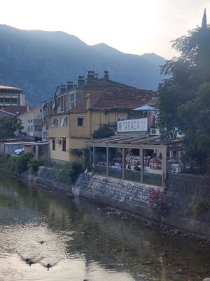  at Resto Bar Taraca in Kotor