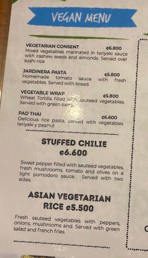 The whole vegan section of the menu  at Vista Verde Restaurant in Quepos
