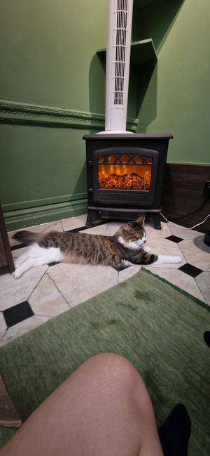  at Java Whiskers in London