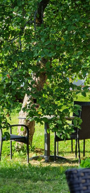 table at Villa Maria in Viljandi