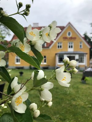 Garden at Villa Maria in Viljandi