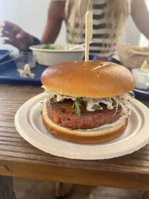   at Cala Vegana in Menorca