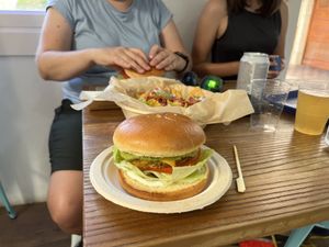   at Cala Vegana in Menorca