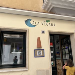   at Cala Vegana in Menorca