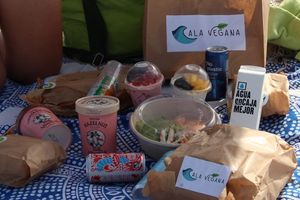  at Cala Vegana in Menorca