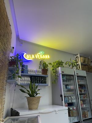   at Cala Vegana in Menorca