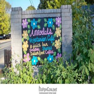  at Annodal's Vegetarian Cafe in Conway