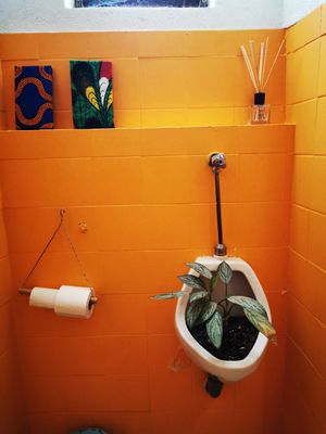  at Andorinha do Mar in Budens