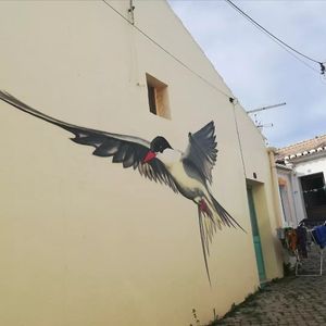 Outside at Andorinha do Mar in Budens