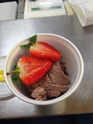 Vegan ice cream  at Barnacles in Llandudno