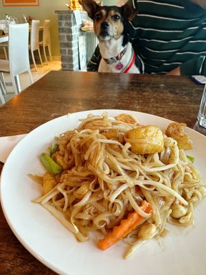 Tofu pad Thai  at Largigi Thai in Lyme Regis