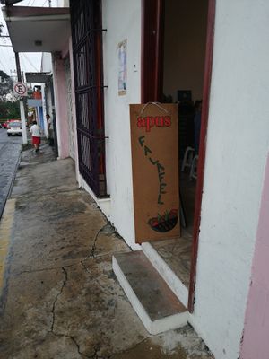 Entrada at Apus.Falafel in Xalapa