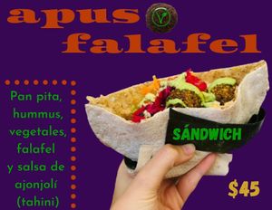 Sandwich falafel at Apus.Falafel in Xalapa