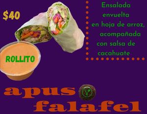 Rollito at Apus.Falafel in Xalapa