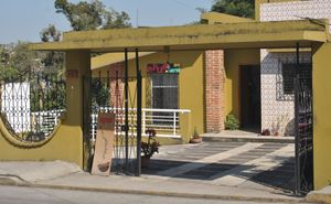  at Apus.Falafel in Xalapa