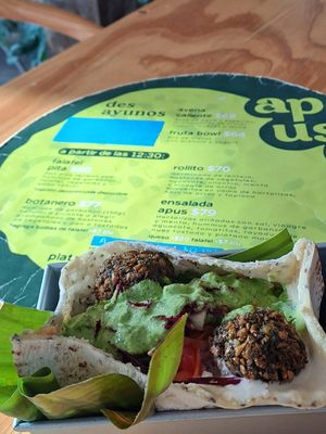  at Apus.Falafel in Xalapa