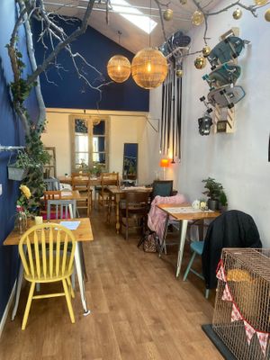  at Ground Plant Based Coffee in Swansea