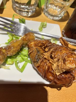 Tofu parcels   at 288 Bar & Wok in Cheltenham