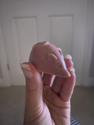 Strawberry mouse  at Tempt in York