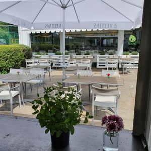 Cozy terrace at Nao Vegan Cafe & Bar in Hamburg