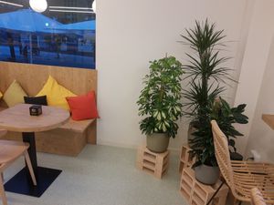 Inside at Foodis in Sant Just Desvern